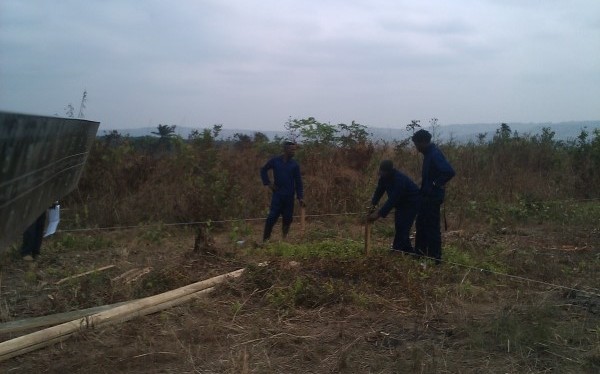 Un "Campo della Gioventù"