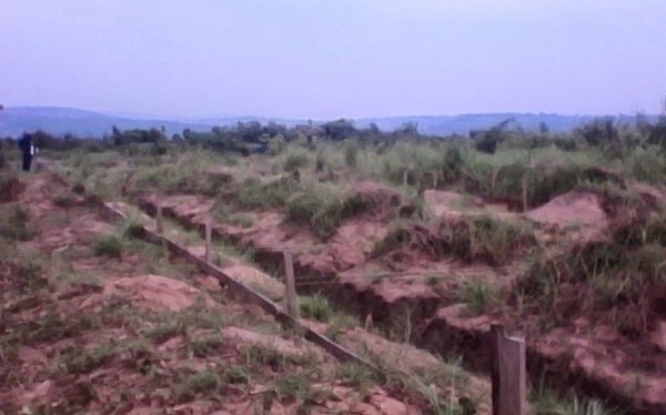 Un "Campo della Gioventù"