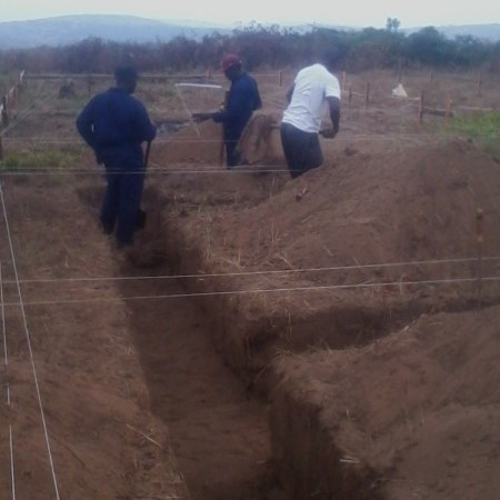 Un "Campo della Gioventù"