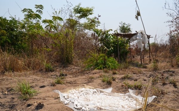 Un "Campo della Gioventù"
