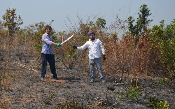 Un "Campo della Gioventù"