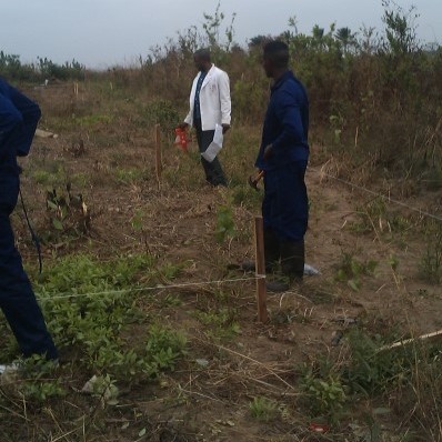 Un "Campo della Gioventù"